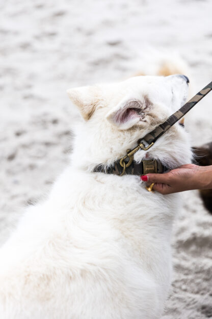 Charlottenburg - Camouflage dog leash - Image 4