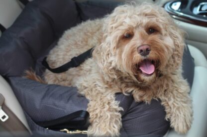 Dog Car Basket - Image 6
