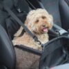 Studio Proud - foldable dog car seat - Image 5