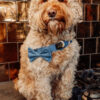 The Bronx - Denim Bow Tie - Image 3