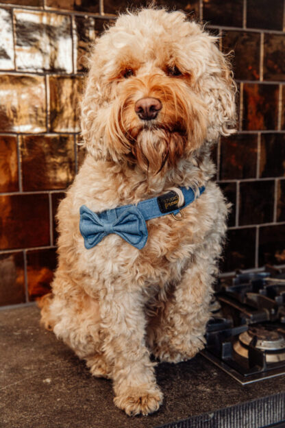 The Bronx - Denim Bow Tie - Afbeelding 3