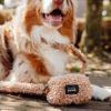 Anchorage - Teddy Brown hondenriem - Afbeelding 7