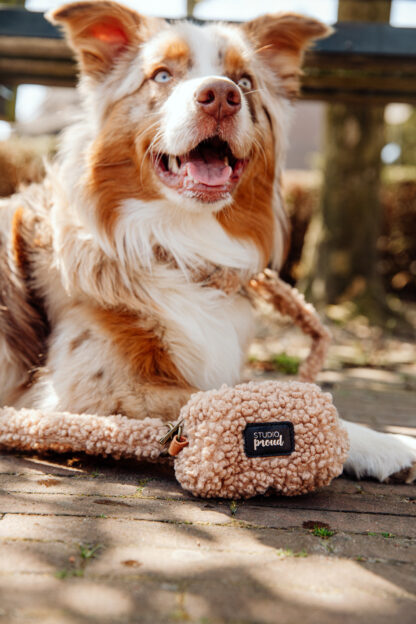 Anchorage - Teddy Brown dog leash - Image 7