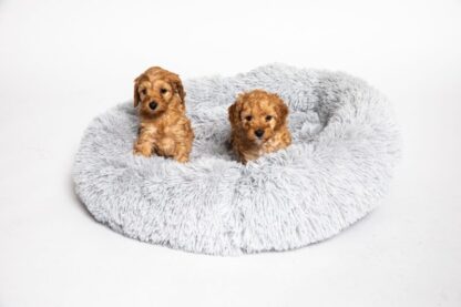 Donut bed - honden mandje - Fluffy & cosy - Licht grijs - Afbeelding 2