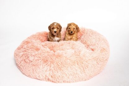Donut bed - Dog basket - Fluffy & cozy - Old Pink - Image 2