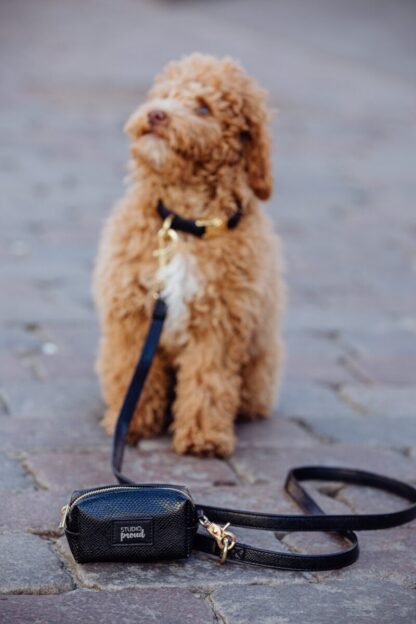 Montmartre - Black snake print dog leash - Image 4