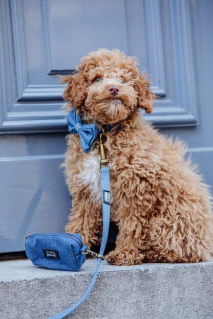 Manhattan - Denim despenser for dog poop bags - Image 2