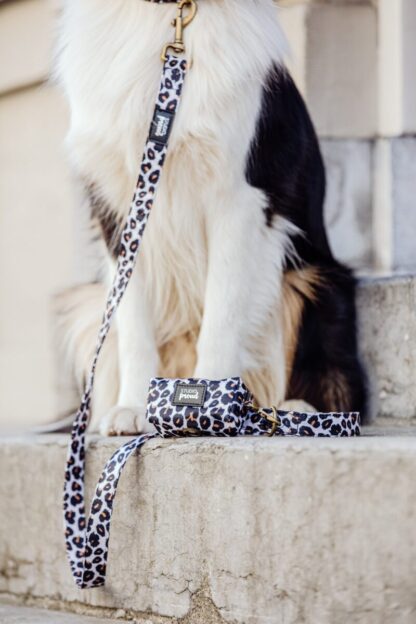 Zuidas - Leopard dog leash - Image 5