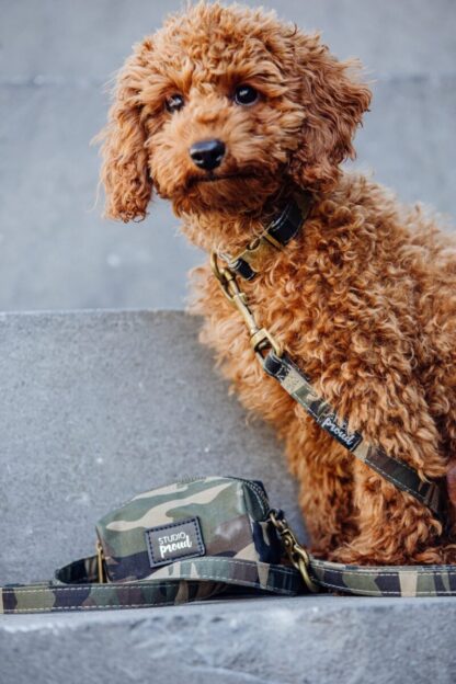 Friedrichshain - Camouflage despenser for dog waste bags - Image 4