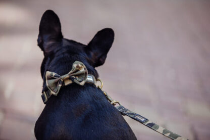 Mitte - Camouflage Bow Tie - Image 2