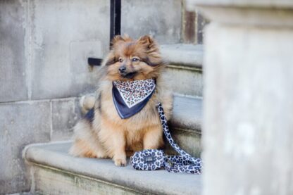 Vondelpark - Leopard Bandana - Image 3