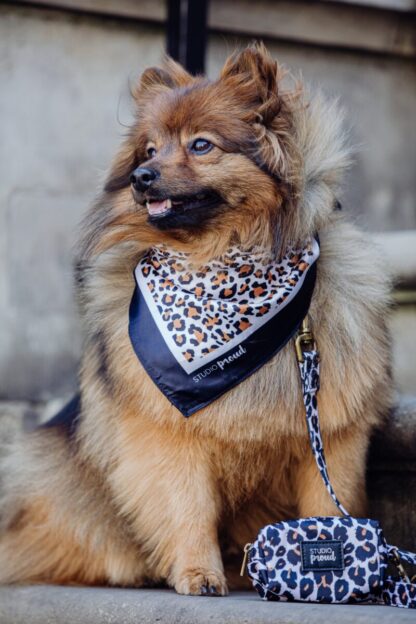 The pipe - Leopard Collar - Image 5
