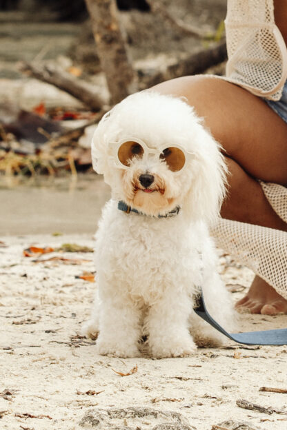 Brooklyn - Denim collar - Image 5