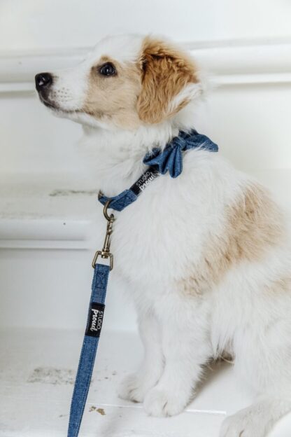 Queens - Denim dog leash - Image 6
