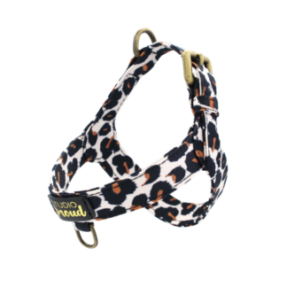 Canal Belt - Leopard harness