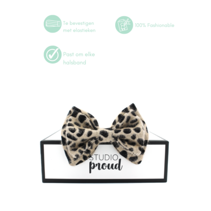 Gamla Stan - Cheetah Bow Tie - Image 8