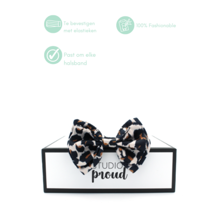 Jordaan - Leopard Bow Tie - Image 5