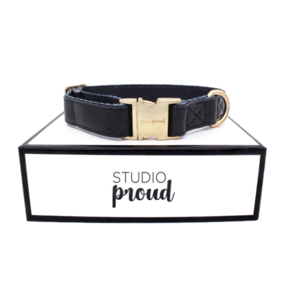 Notre-Dame - Black snake print collar