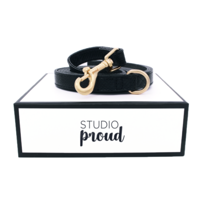 Montmartre - Black snake print dog leash