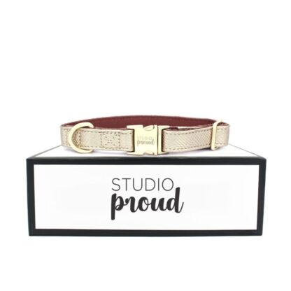 Copacabana - Gold Dog collar with Gold Accessories
