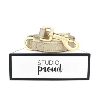 Ipanema - Gold colored dog leash with gold colored accessories