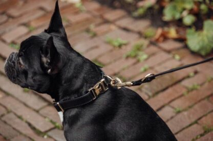 Camden Town - Leather black collar - Image 2