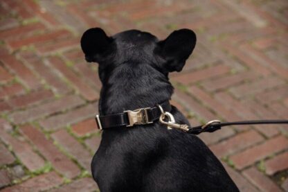 Camden Town - Leather black collar - Image 3