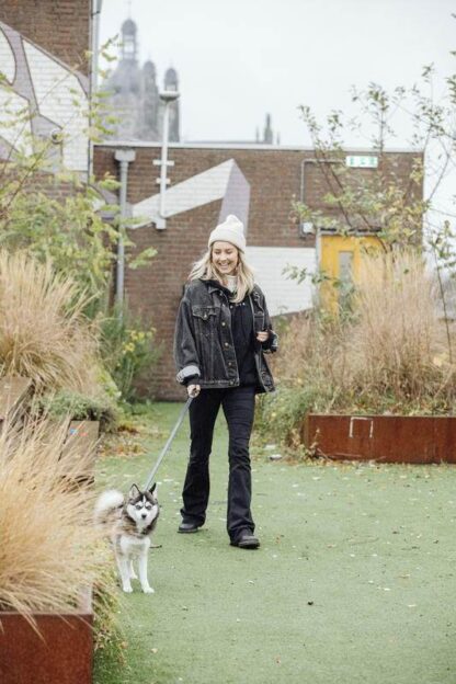 Nothing Hill - Leren zwarte hondenriem - Afbeelding 3
