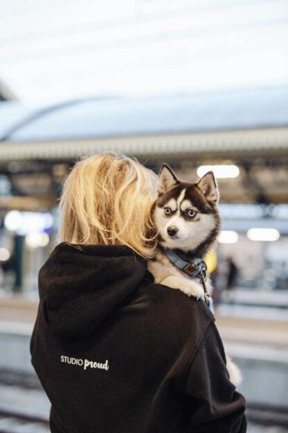 Dog lover Hoodie - Image 6