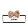 Homer - Teddy Brown Bowtie