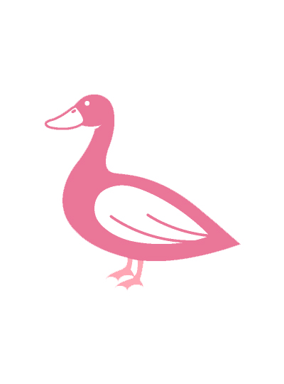 Delicious Duck