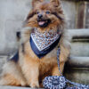 Old South - Leopard despenser for dog waste bags - Image 8