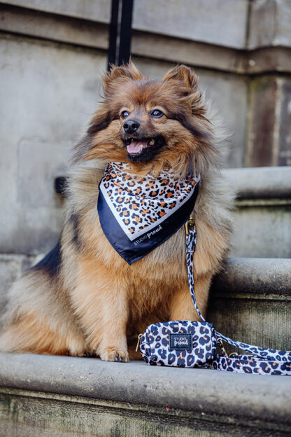 Old South - Leopard despenser for dog waste bags - Image 8