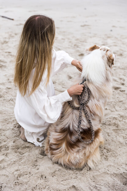 Södermalm - Cheetah dog leash - Image 5