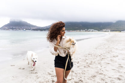 Ipanema - Gold colored dog leash with gold colored accessories - Image 2