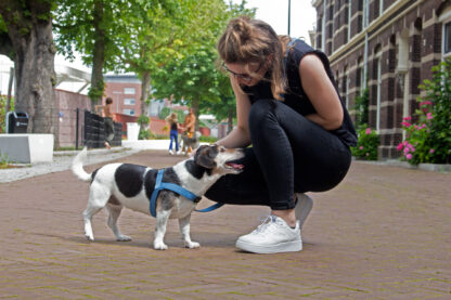 "Handsfree" cityline - denim - Image 5