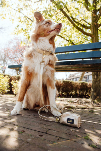 Santa Teresa - Dog Poop Bag Dispenser - Image 6