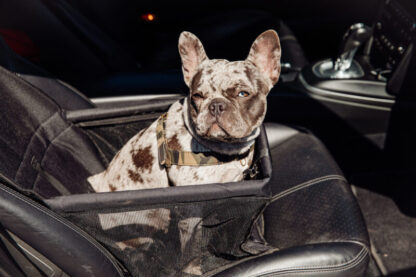 Opvouwbare honden automand - waterafstotend zwarte stof - Afbeelding 5