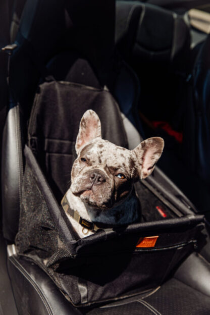 Opvouwbare honden automand - waterafstotend zwarte stof - Afbeelding 4
