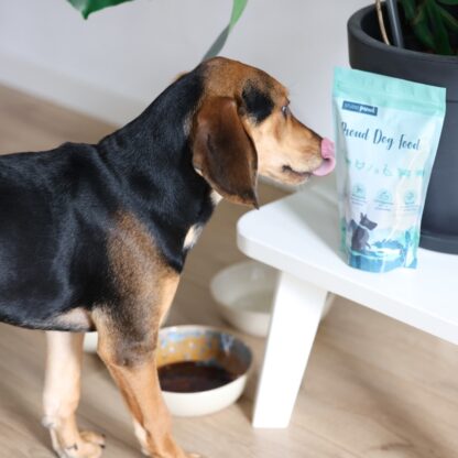 Rhein -  Honden voerbakje - Groen/blauw - Afbeelding 6