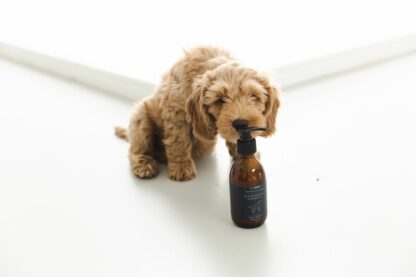 Natuurlijke hondenverzorging - Voedende shampoo - Image 3