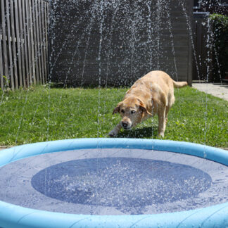 Waterspeelmat met fontein