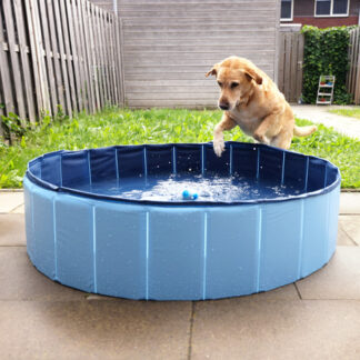 dog pool