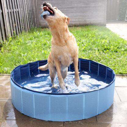 Honden zwembad - Afbeelding 2