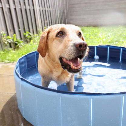 Honden zwembad - Afbeelding 3