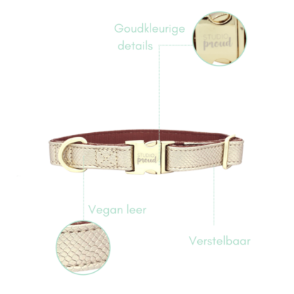 Copacabana - Gold Dog collar with Gold Accessories - Image 12