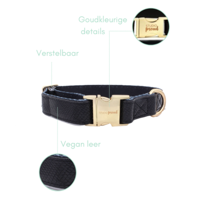 Notre-Dame - Black snake print collar - Image 15