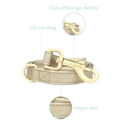 Ipanema - Gold colored dog leash with gold colored accessories - Image 8