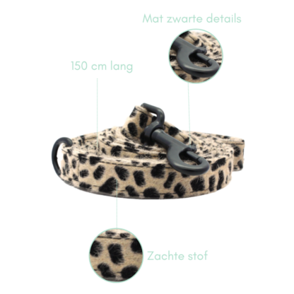 Södermalm - Cheetah dog leash - Image 9