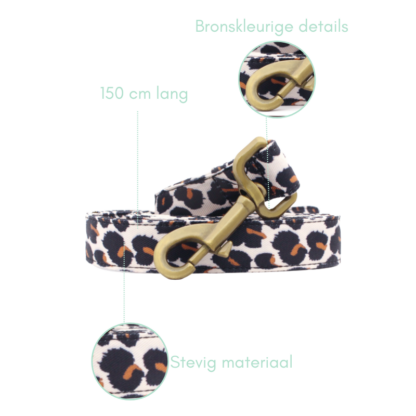 Zuidas - Leopard dog leash - Image 9